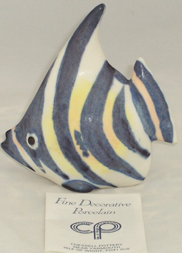 Chessell Angel Fish – Blue/Gold