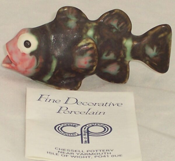 Small Black Fish