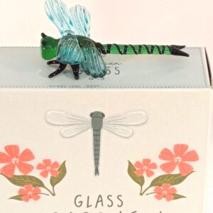 Glass Animal: 'Dragonfly'