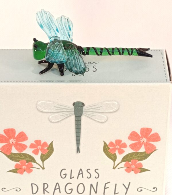 Glass Animal: 'Dragonfly'