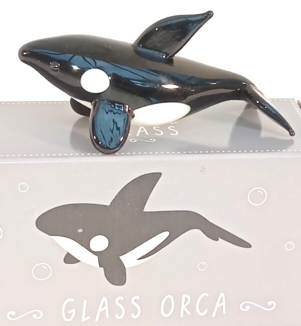 Glass Animal 'Orca'