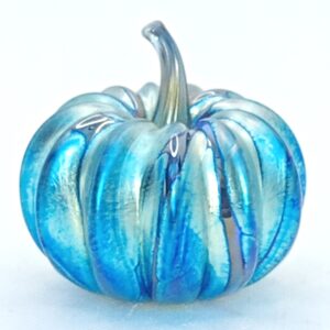 'Blue Pumpkin' Small