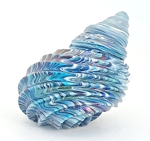 'Sea Shell' Blue and White