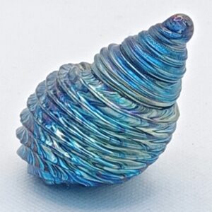 'Blue Seashell' 2