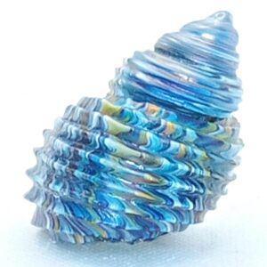 'Seashell Blue and Amber' 3