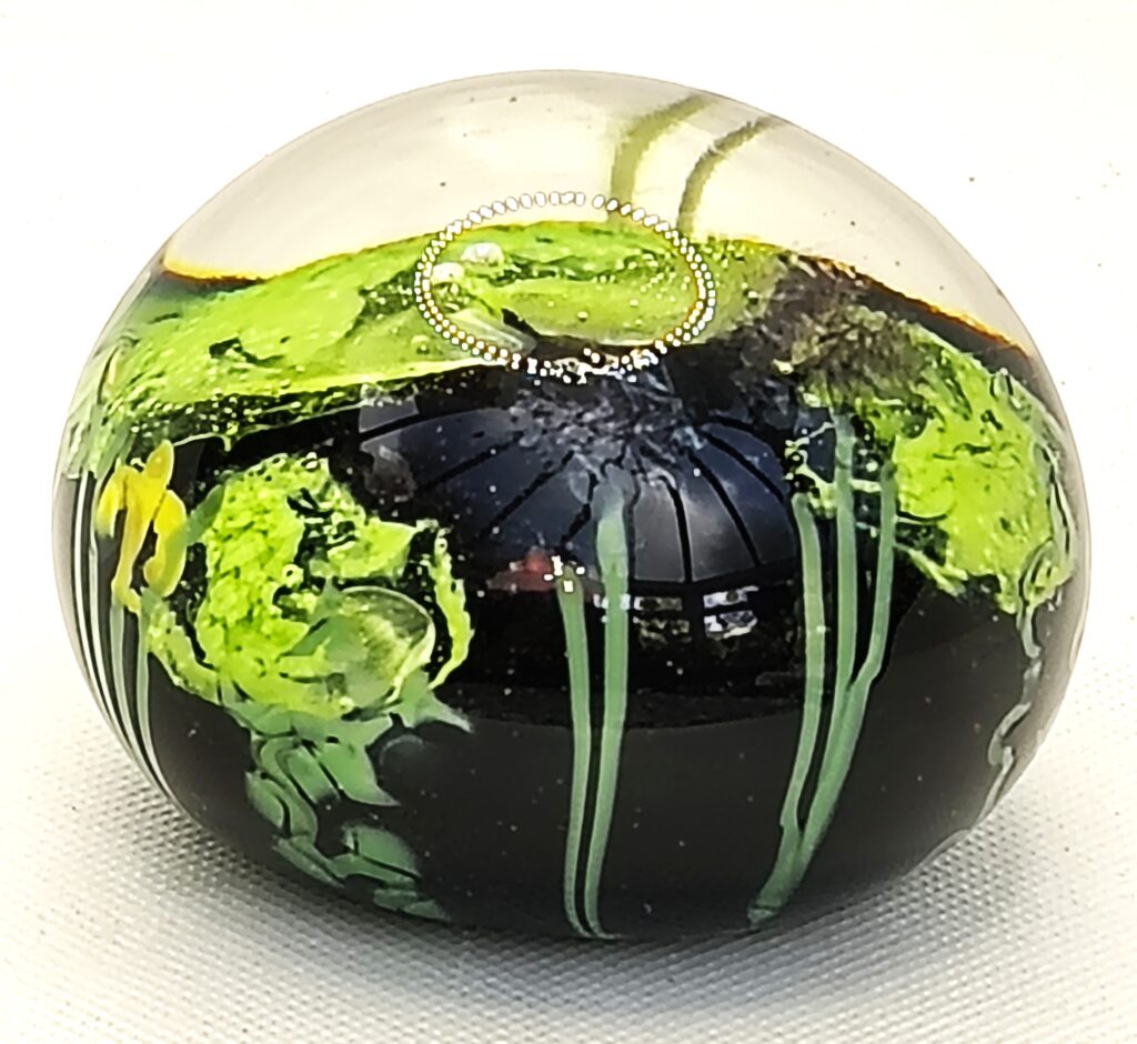 'Pond' Paperweight