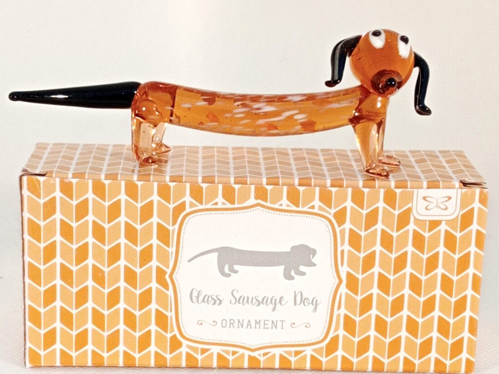 Dachshund