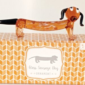 Dachshund