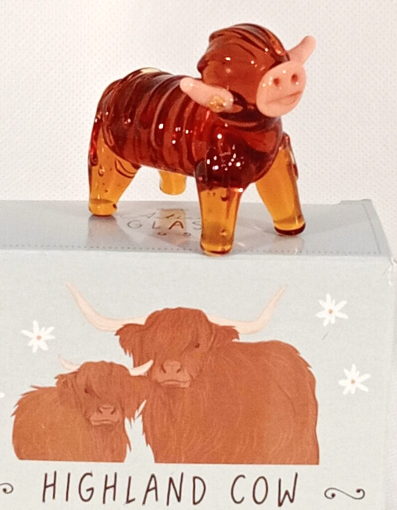 Highland Cow